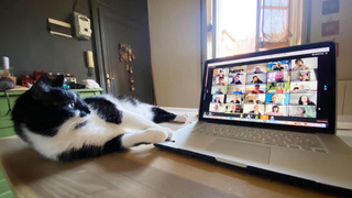 4 Add-Ons for Your Video Calls That Are Actually Useful